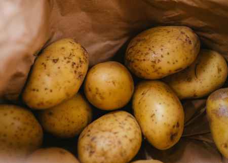 Kartoffeln pflanzen im Garten und auf dem Balkon: So gelingt die reiche Ernte