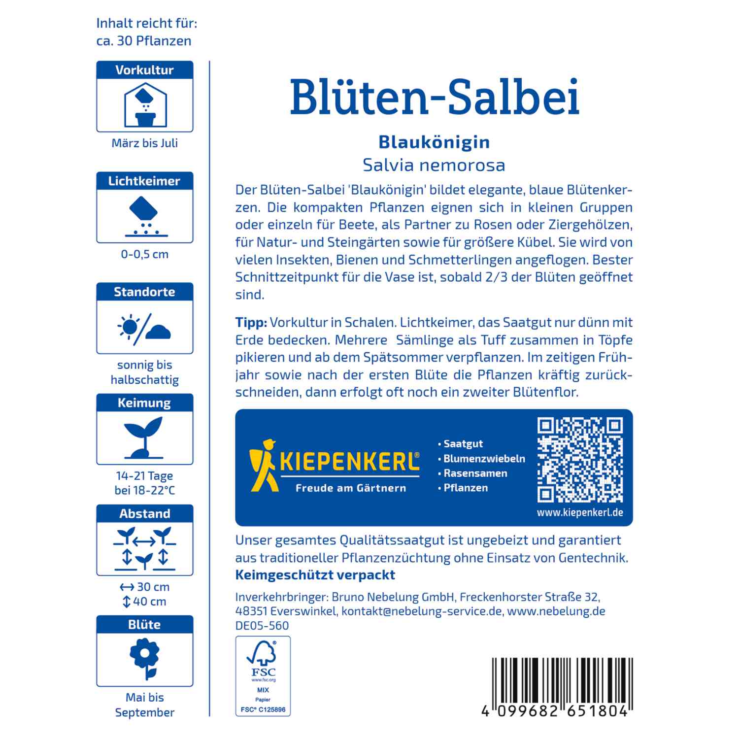 Salbei 'Blaukönigin'