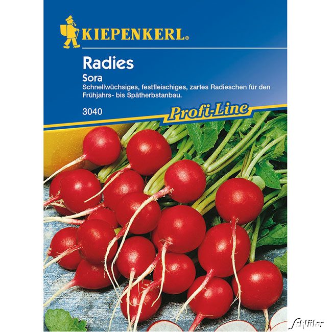 Radies 'Sora' Lieferform: Portionssaatgut