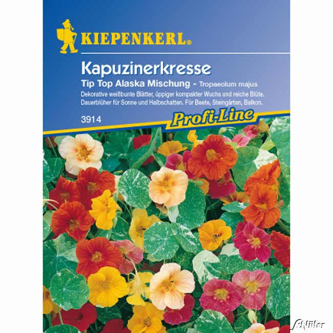 Kapuzinerkresse 'Tip-Top Alaska-Mischung' Lieferform: Portionssaatgut