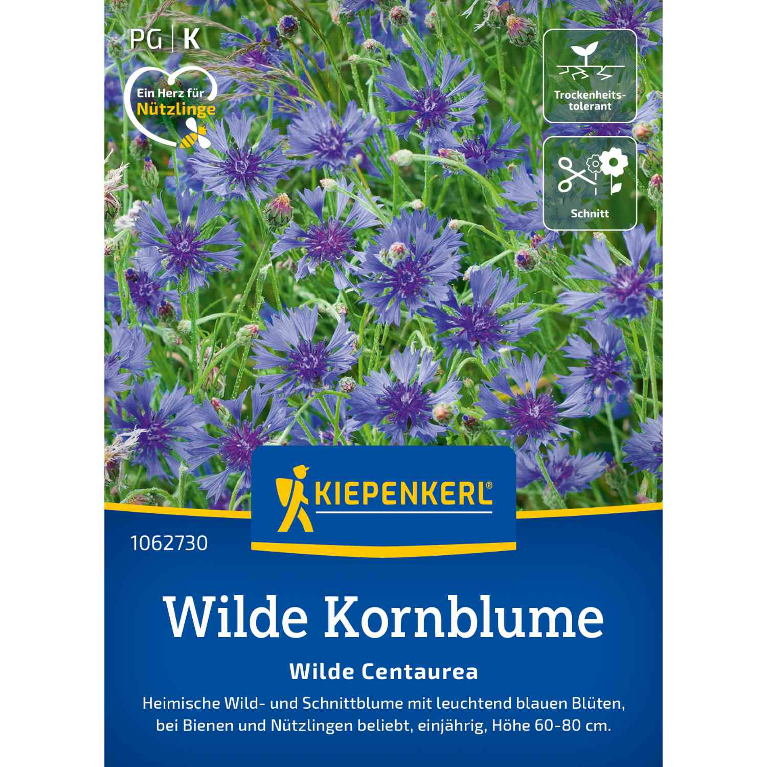 Kategorie <b>Zwiebel- und Knollenstauden </b> - Kornblume Lieferform: Portionssaatgut - Centaurea cyanus