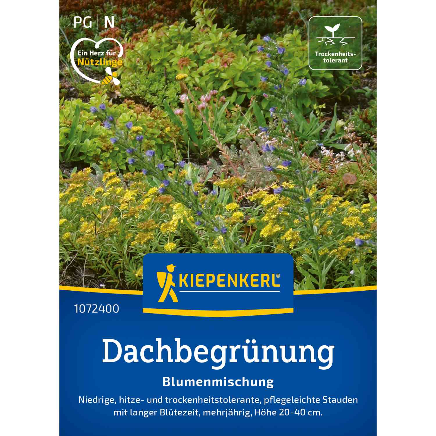 Kategorie <b>Zwiebel- und Knollenstauden </b> - Dachbegrünung 'Mischung' Lieferform: Portionssaatgut -