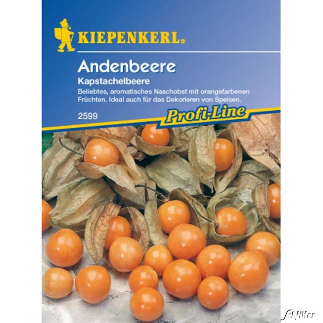 Andenbeere Lieferform: Portionssaatgut