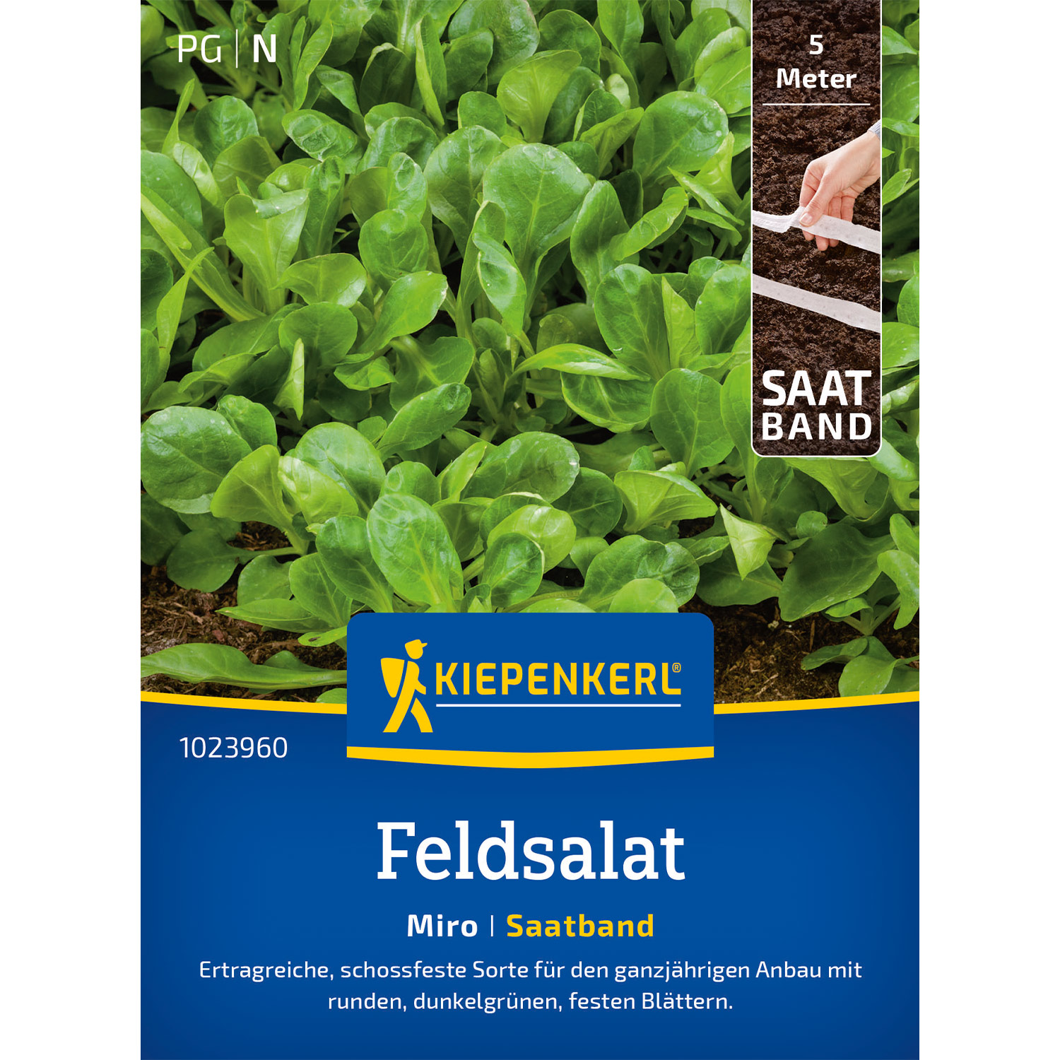 Feldsalat 'Miro' Lieferform: Saatband