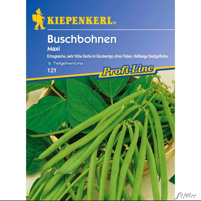 Buschbohne 'Maxi' Lieferform: Portionssaatgut