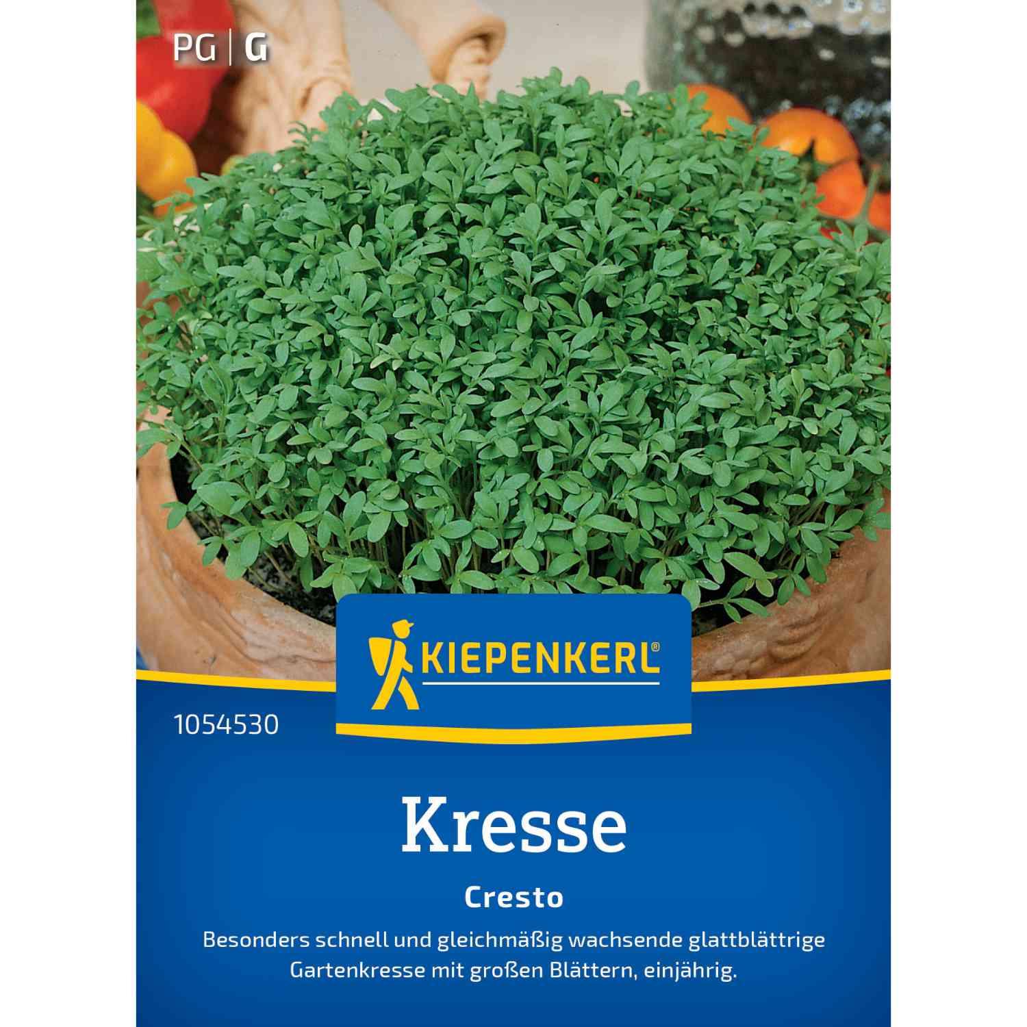 Kategorie <b>Zwiebel- und Knollenstauden </b> - Kresse 'Cresto' Lieferform: Saatgut - Lepidium sativum