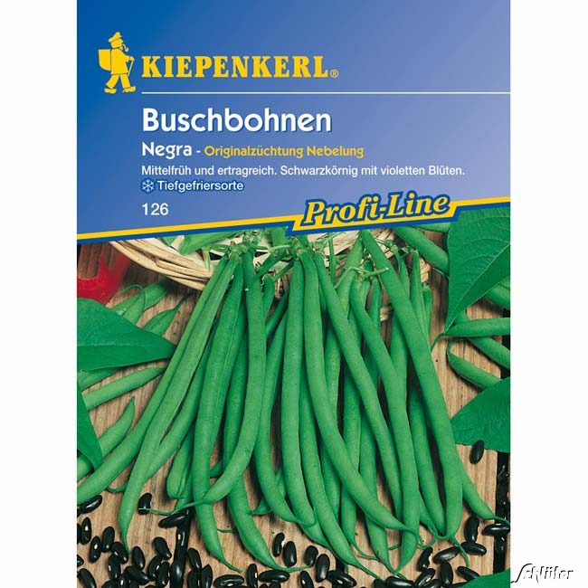 Feinschmeckerbohne 'Negra' Lieferform: Portionssaatgut