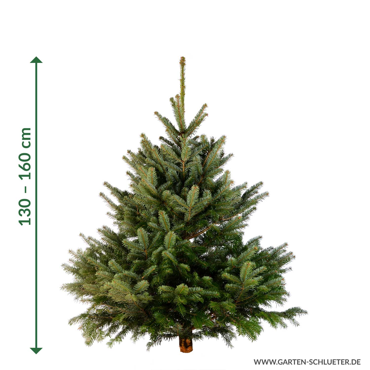 Weihnachtsbaum