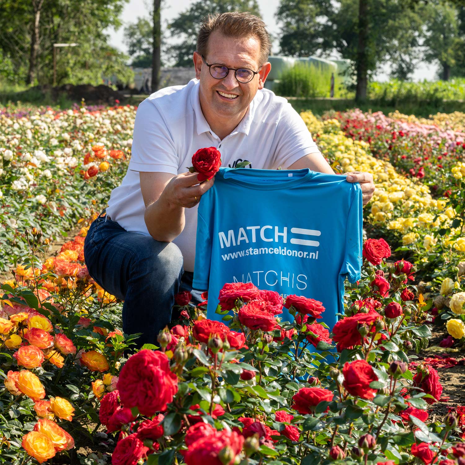 Beetrose 'Matchis®' Beetrose 'Matchis®'