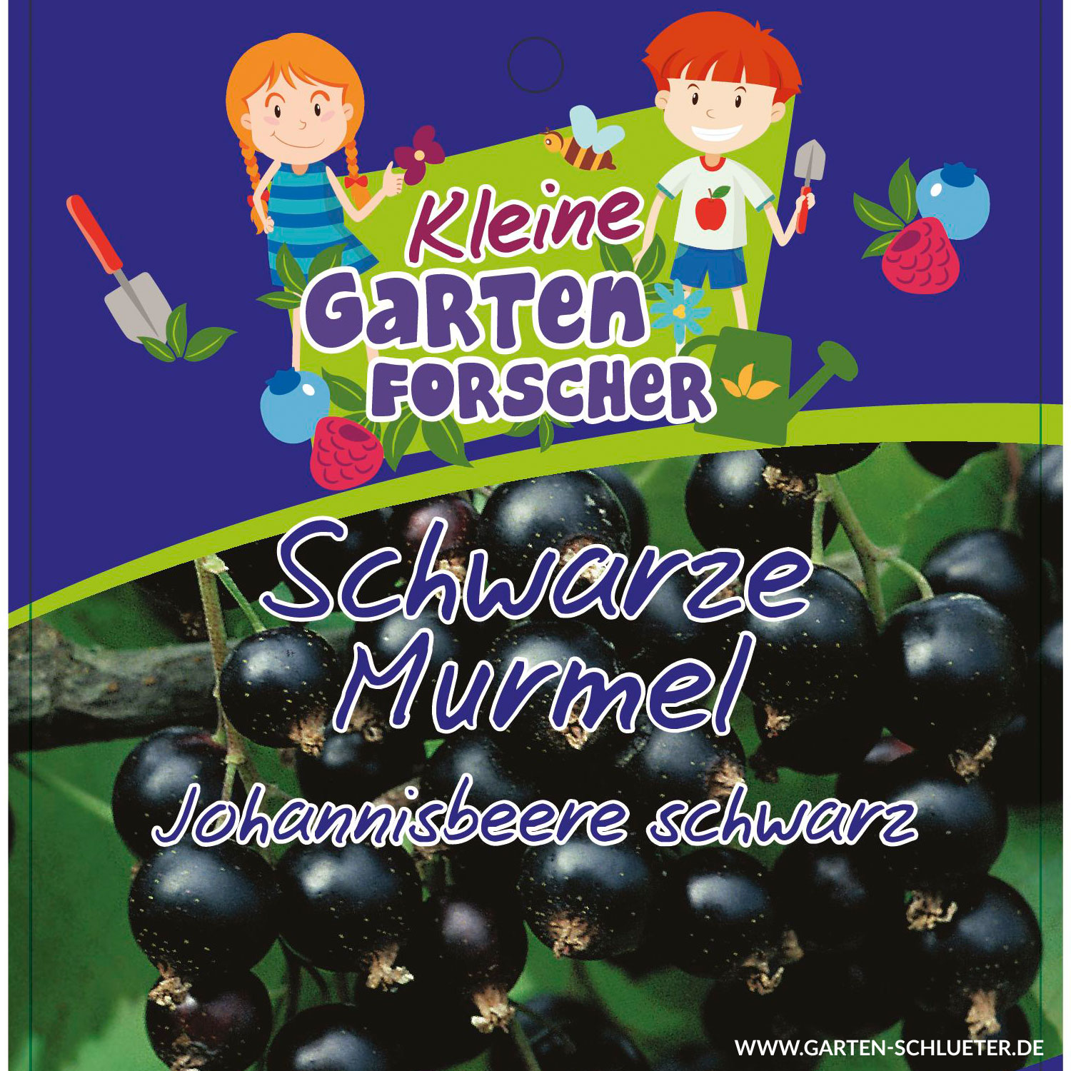 Johannisbeere 'Schwarze Murmeln' - Kleine Gartenforscher 5 Liter Container, Stammhöhe 40-50 cm Liefergröße: Stammhöhe 40-50 cm