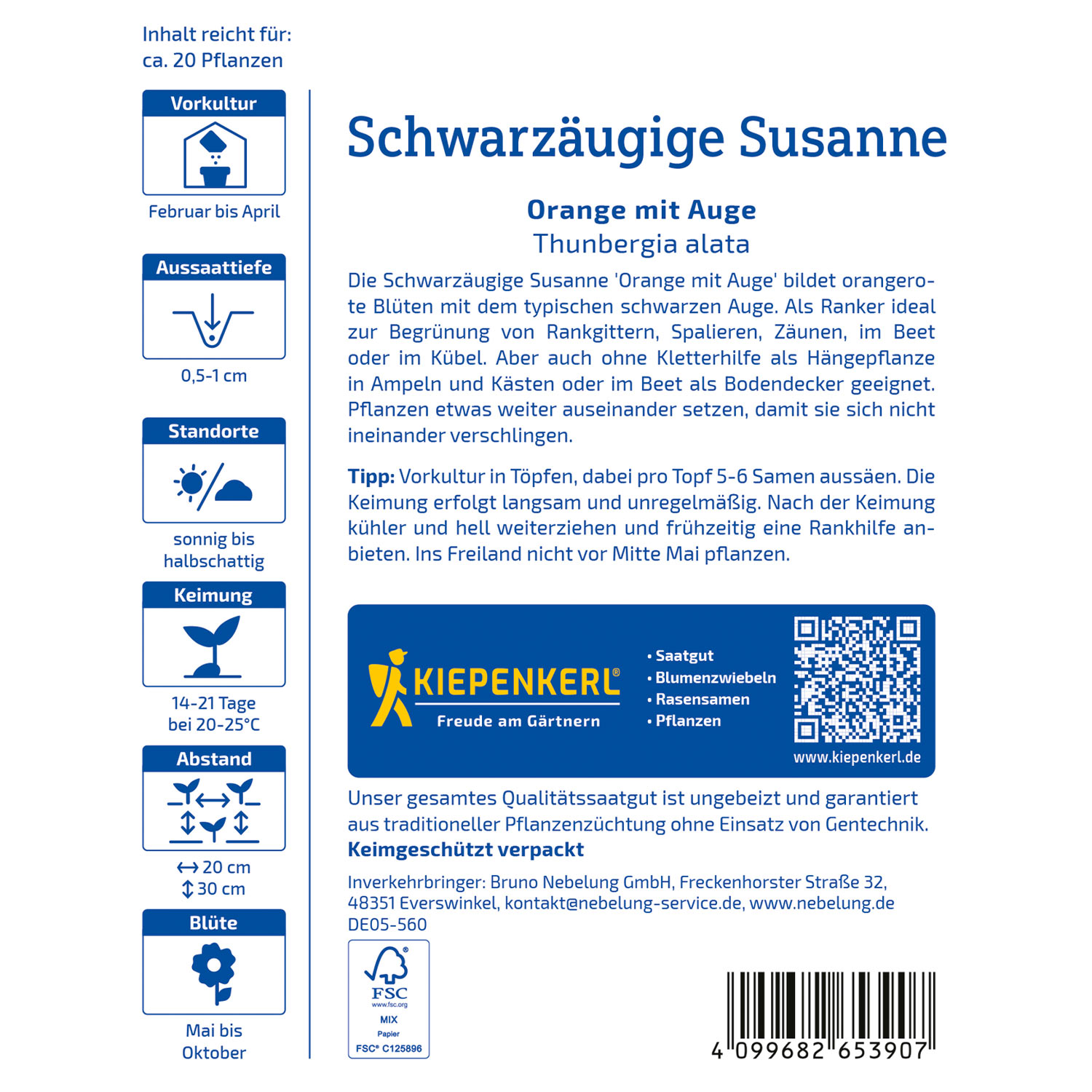 Schwarzäugige Susanne Orange mit Auge