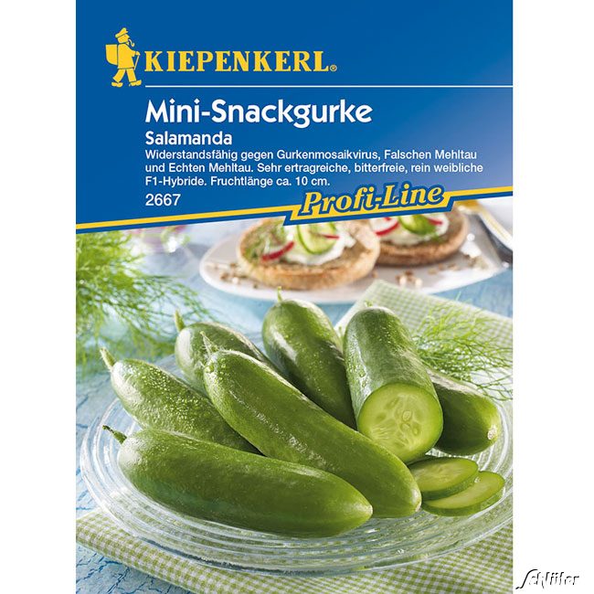 Gurke 'Salamanda' Lieferform: Portionssaatgut