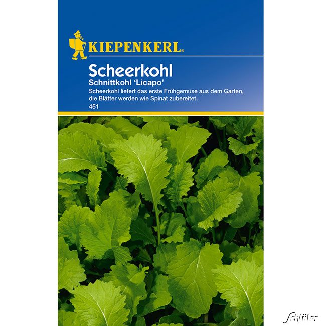 Schnittkohl 'Licapo' Lieferform: Portionssaatgut