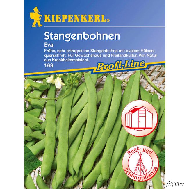 Stangenbohne 'Eva' Lieferform: Portionssaatgut