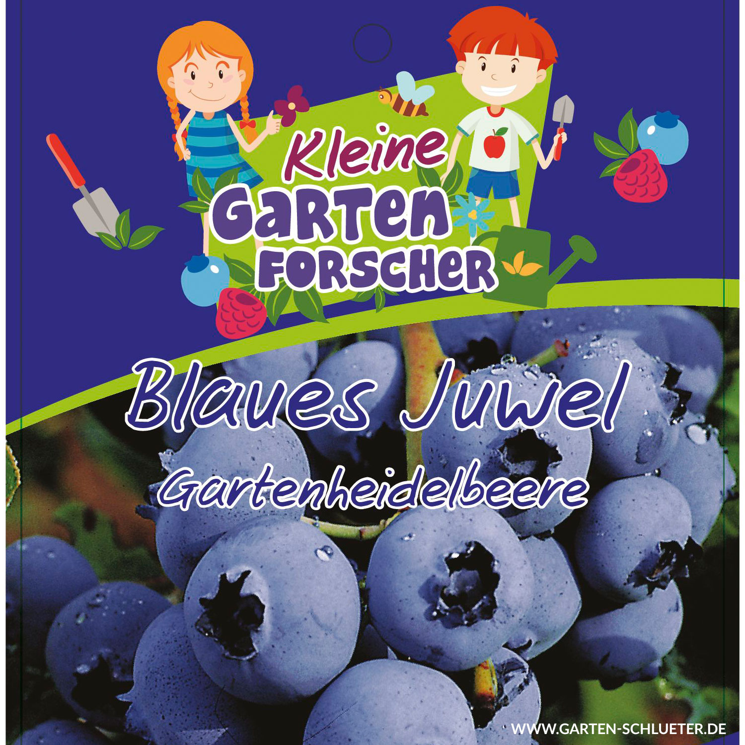 Gartenheidelbeere 'Blaues Juwel' - Kleine Gartenforscher Liefergröße: ca. 30 - 40 cm