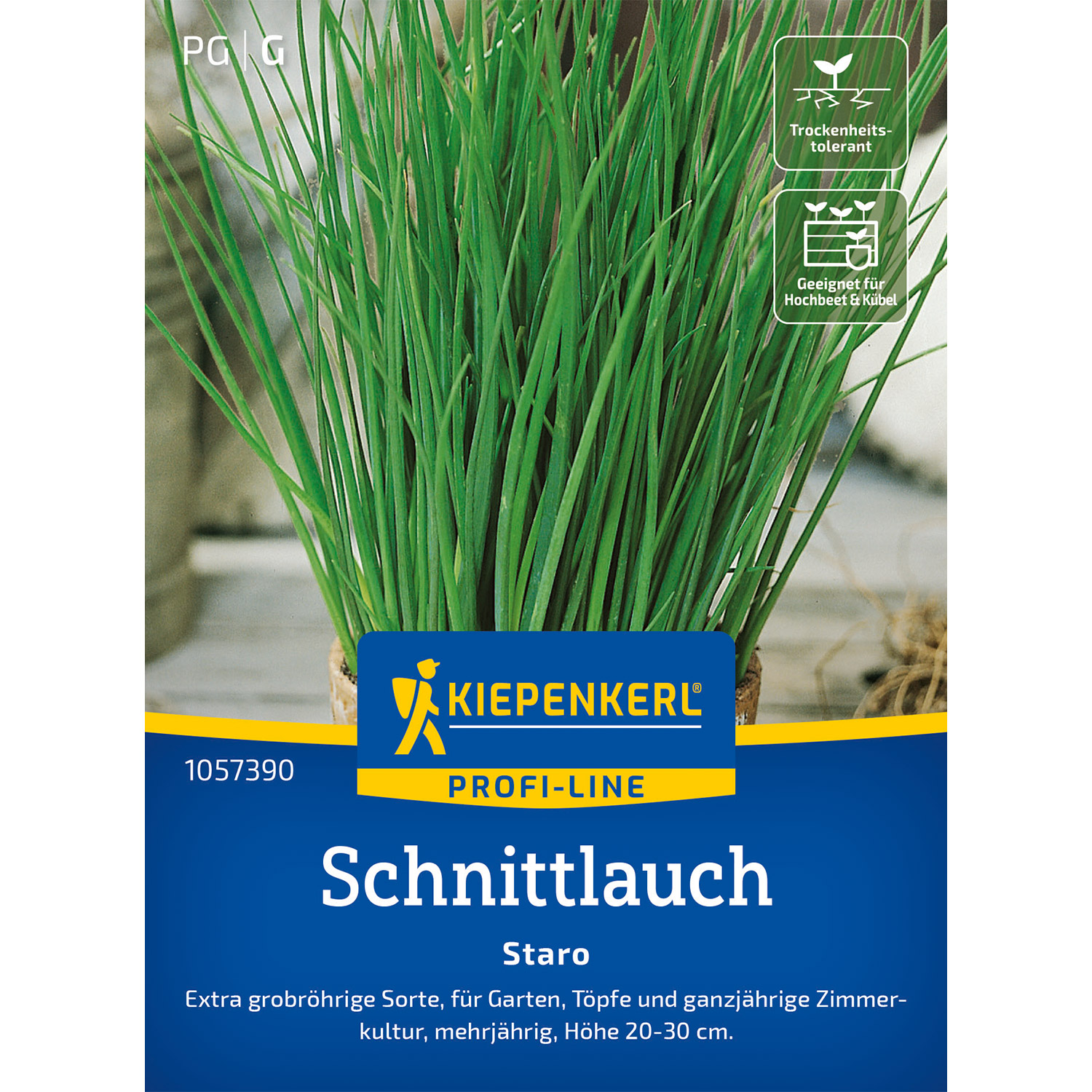 Kategorie <b>Kräuter-Samen </b> - Schnittlauch 'Staro' - grobröhrig Portionssaatgut, für ca. 100 Pflanzen Lieferform: Portionssaatgut - Allium schoenoprasum 'Staro'