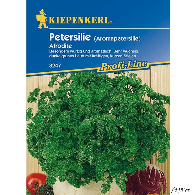 Petersilie (Aromapetersilie) 'Afrodite' Portionssaatgut, für ca. 350 Pflanzen Lieferform: Portionssaatgut
