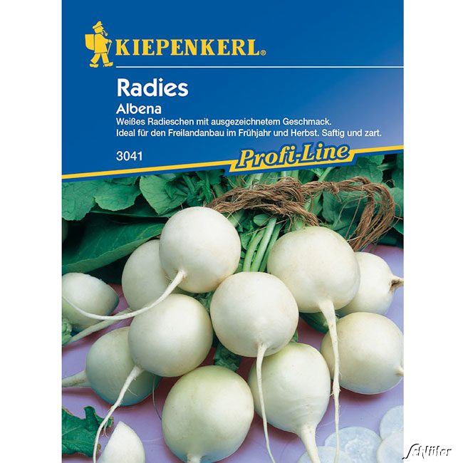Radies 'Albena' Lieferform: Portionssaatgut