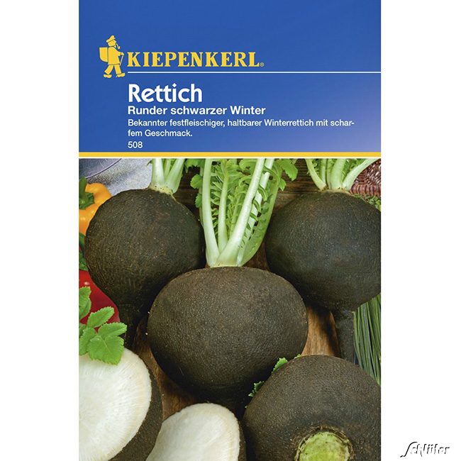 Rettich 'Runder Schwarzer Winter' Lieferform: Portionssaatgut