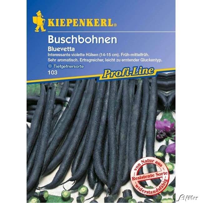 Buschbohne 'Bluevetta' Lieferform: Portionssaatgut