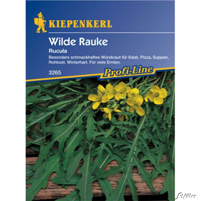Rucola (Wilde Rauke) Lieferform: Portionssaatgut