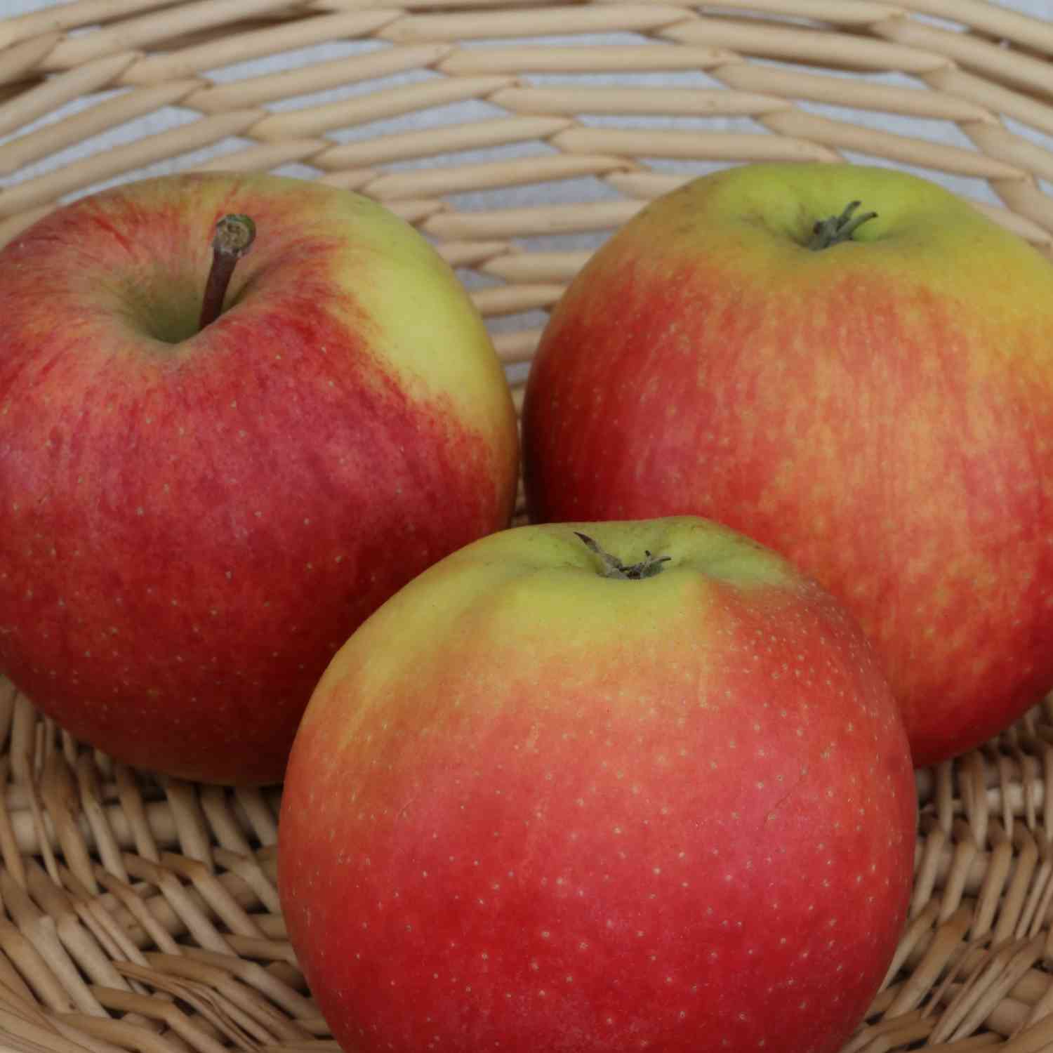Apfel 'Gala' Apfel 'Gala'