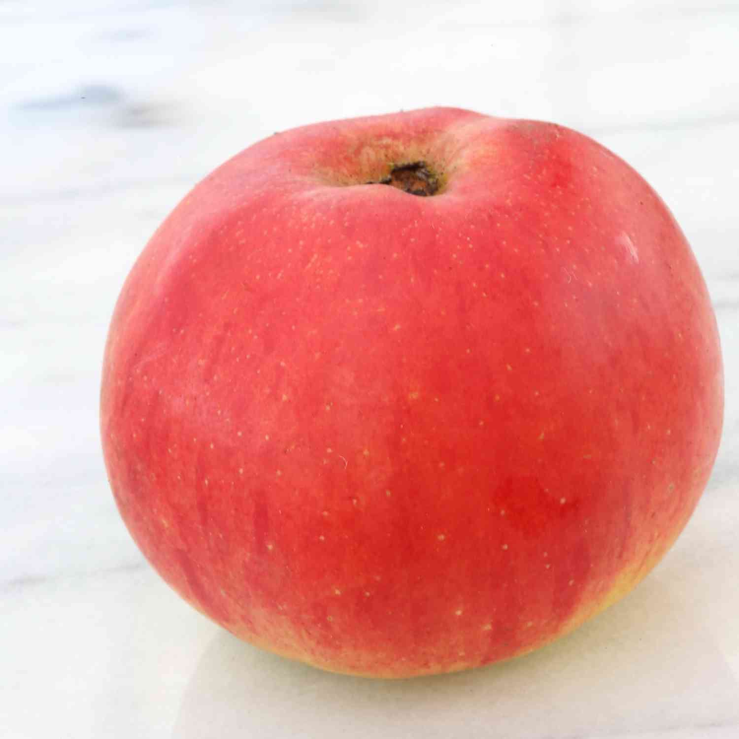 Zwerg-Apfel 'Topaz®' - Busch