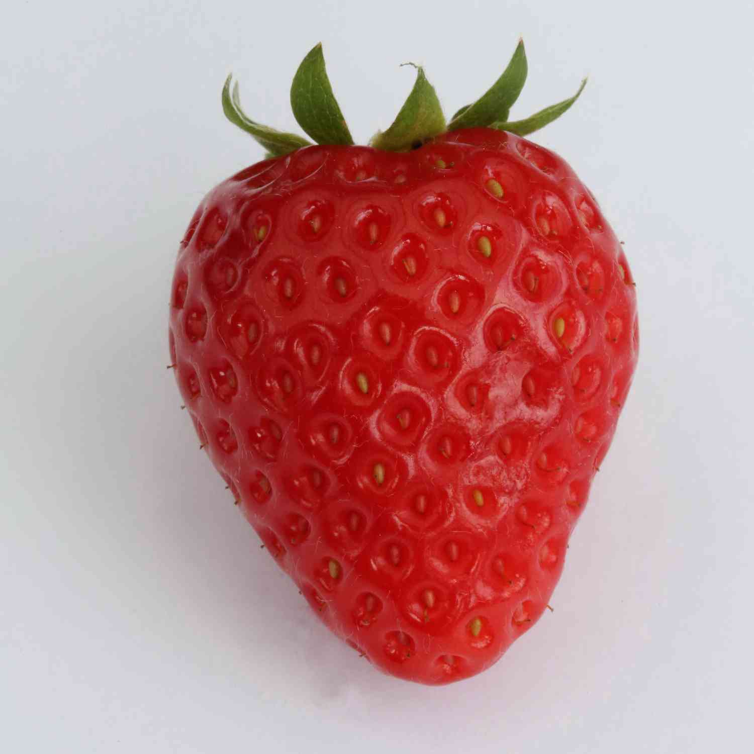 Erdbeere 'Korona®' Erdbeere 'Korona®'