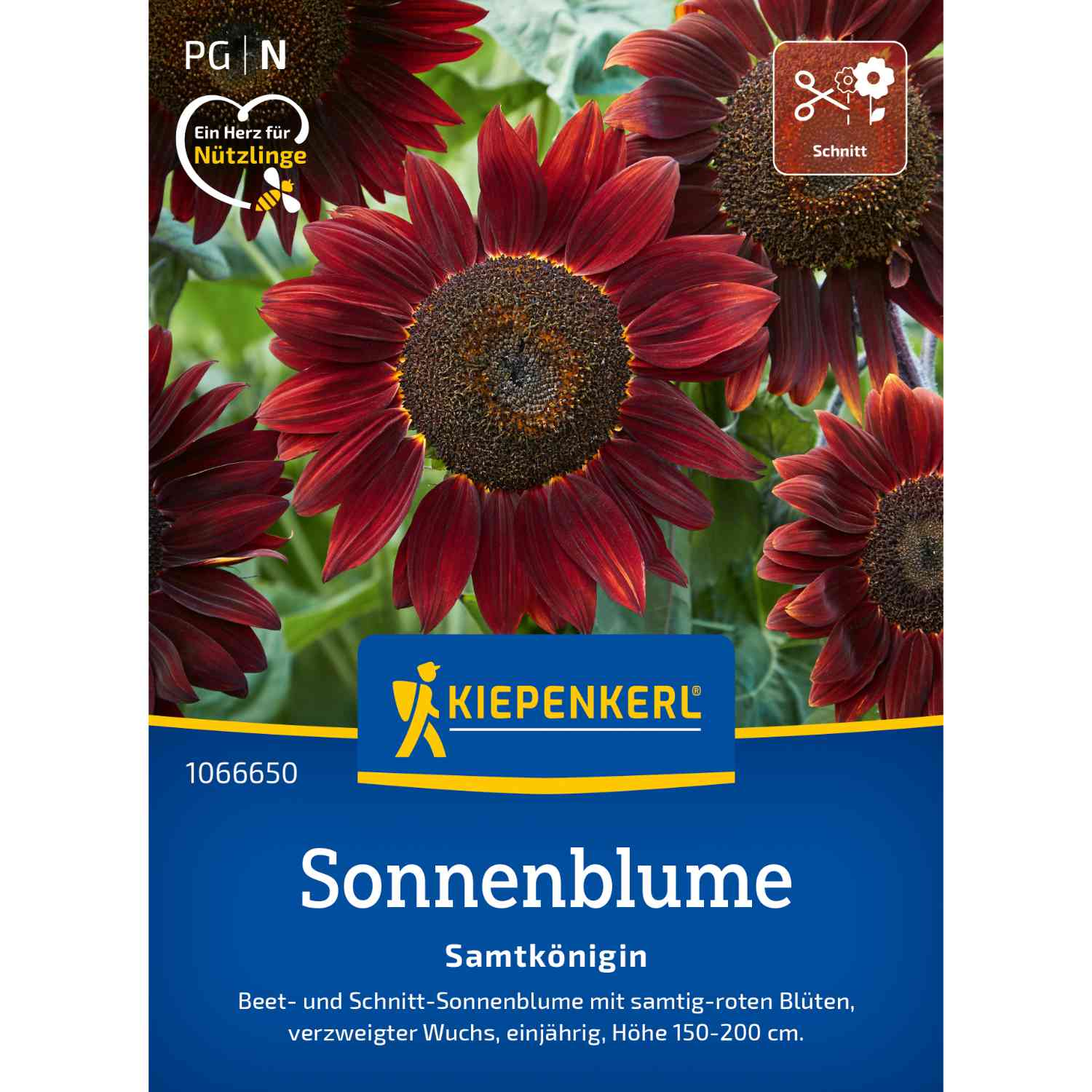Kategorie <b>Zwiebel- und Knollenstauden </b> - Sonnenblume 'Samtkönigin' Lieferform: Portionssaatgut - Helianthus annuus
