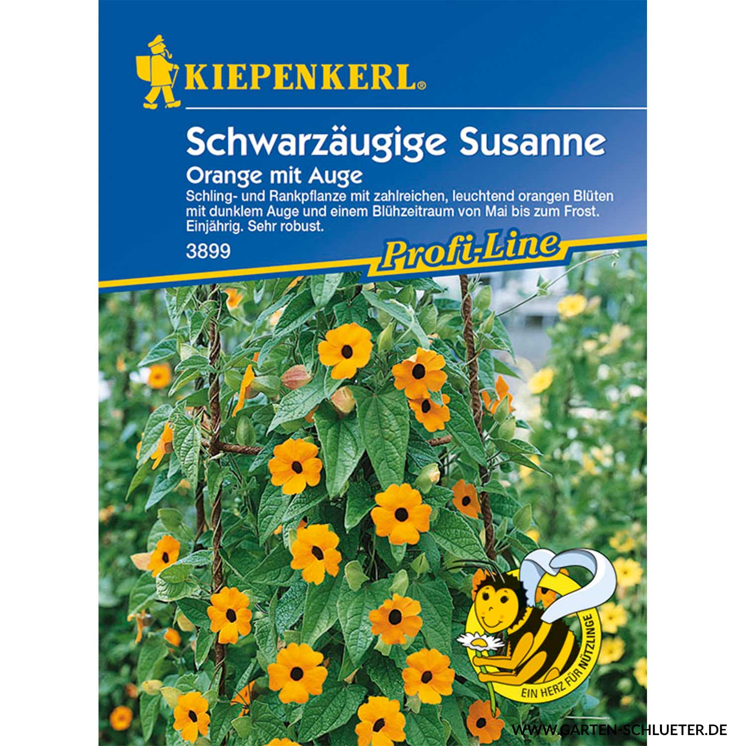 Schwarzäugige Susanne Orange mit Auge Lieferform: Portionssaatgut