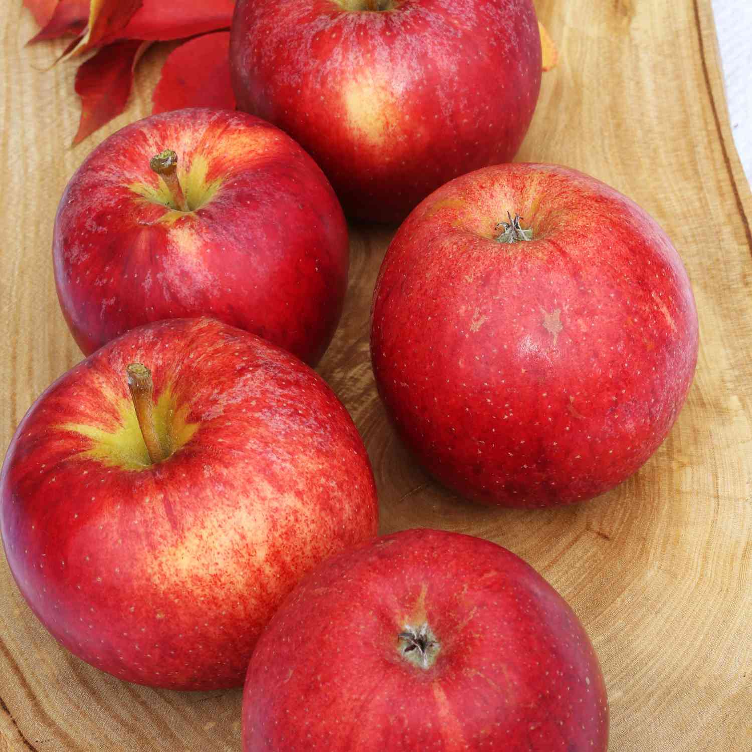 Apfel 'Gala' Apfel 'Gala'