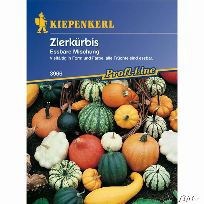 Zierkürbis 'Essbare Mischung' Lieferform: Portionssaatgut