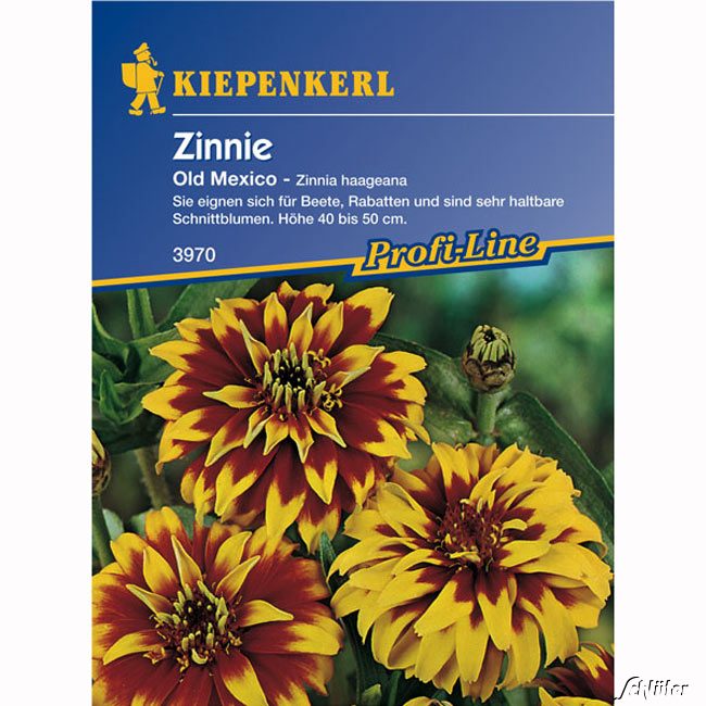 Zinnie 'Old Mexiko' Lieferform: Portionssaatgut