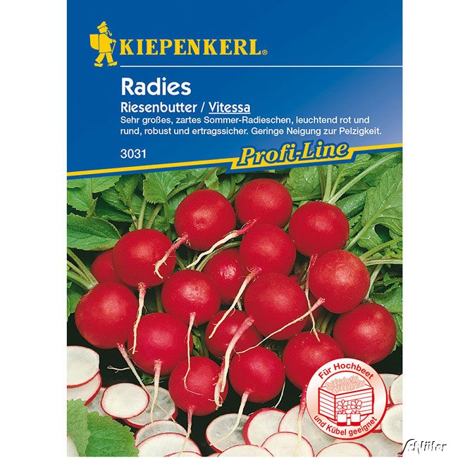 Radies 'Riesenbutter/Vitessa' Portionssaatgut Lieferform: Portionssaatgut