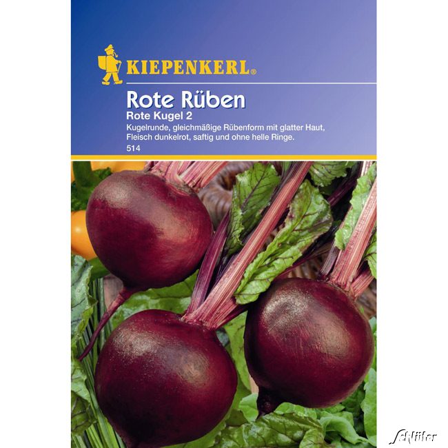 Rote Rüben 'Rote Kugel 2' Portionssaatgut, für ca. 100 Pflanzen Lieferform: Portionssaatgut