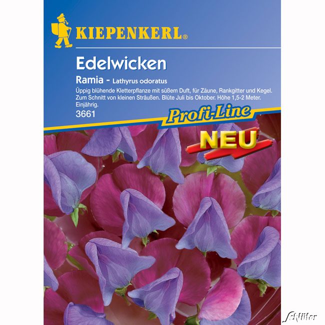 Wicke (Edelwicke) 'Ramia' Lieferform: Portionssaatgut