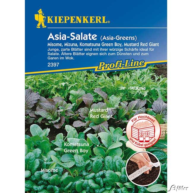 Asia-Salat 'Salat-Mischung' Lieferform: Portionssaatgut