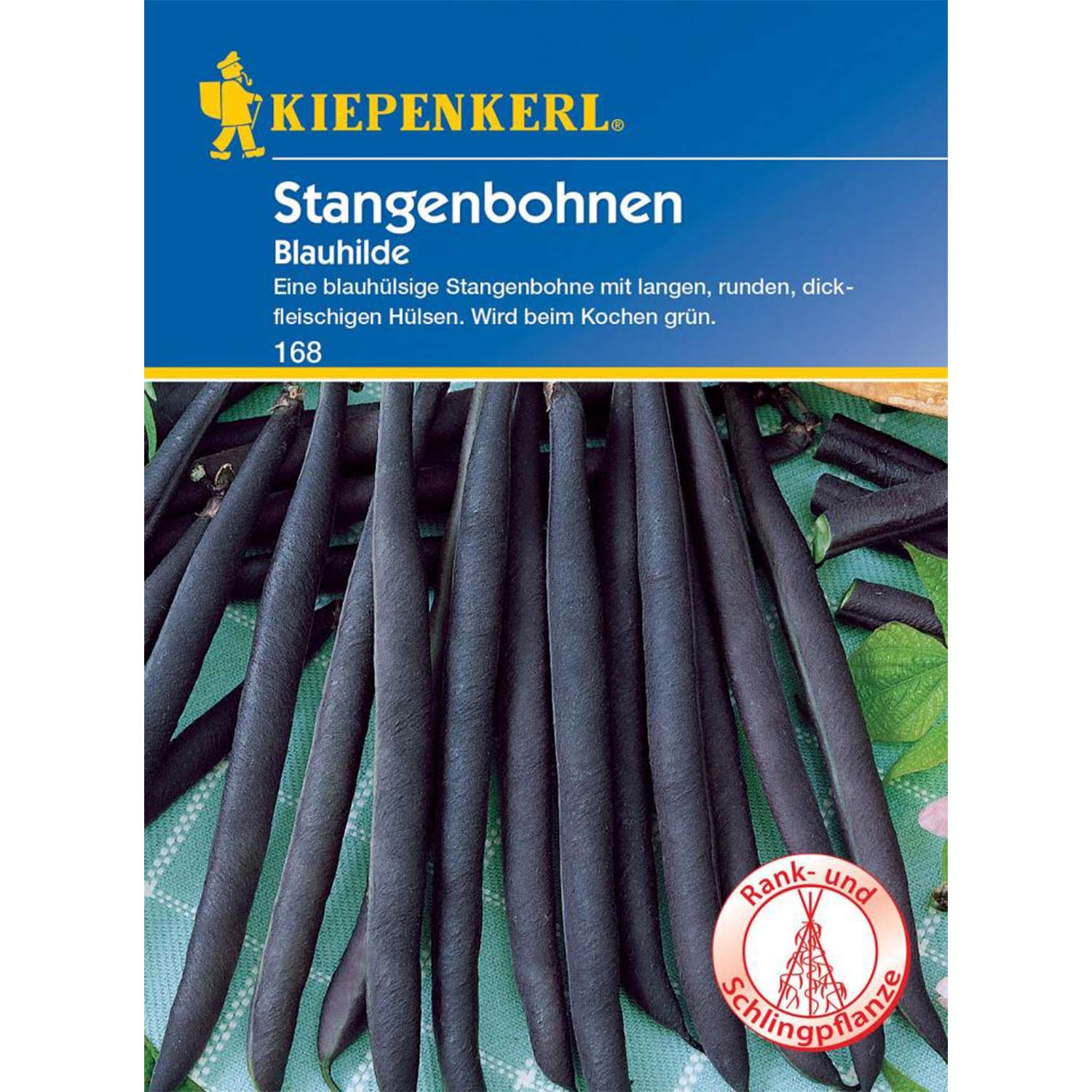 Stangenbohne 'Blauhilde' Lieferform: Portionssaatgut