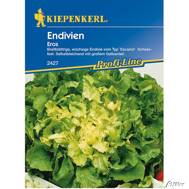 Endiviensalat 'Eros' Lieferform: Portionssaatgut