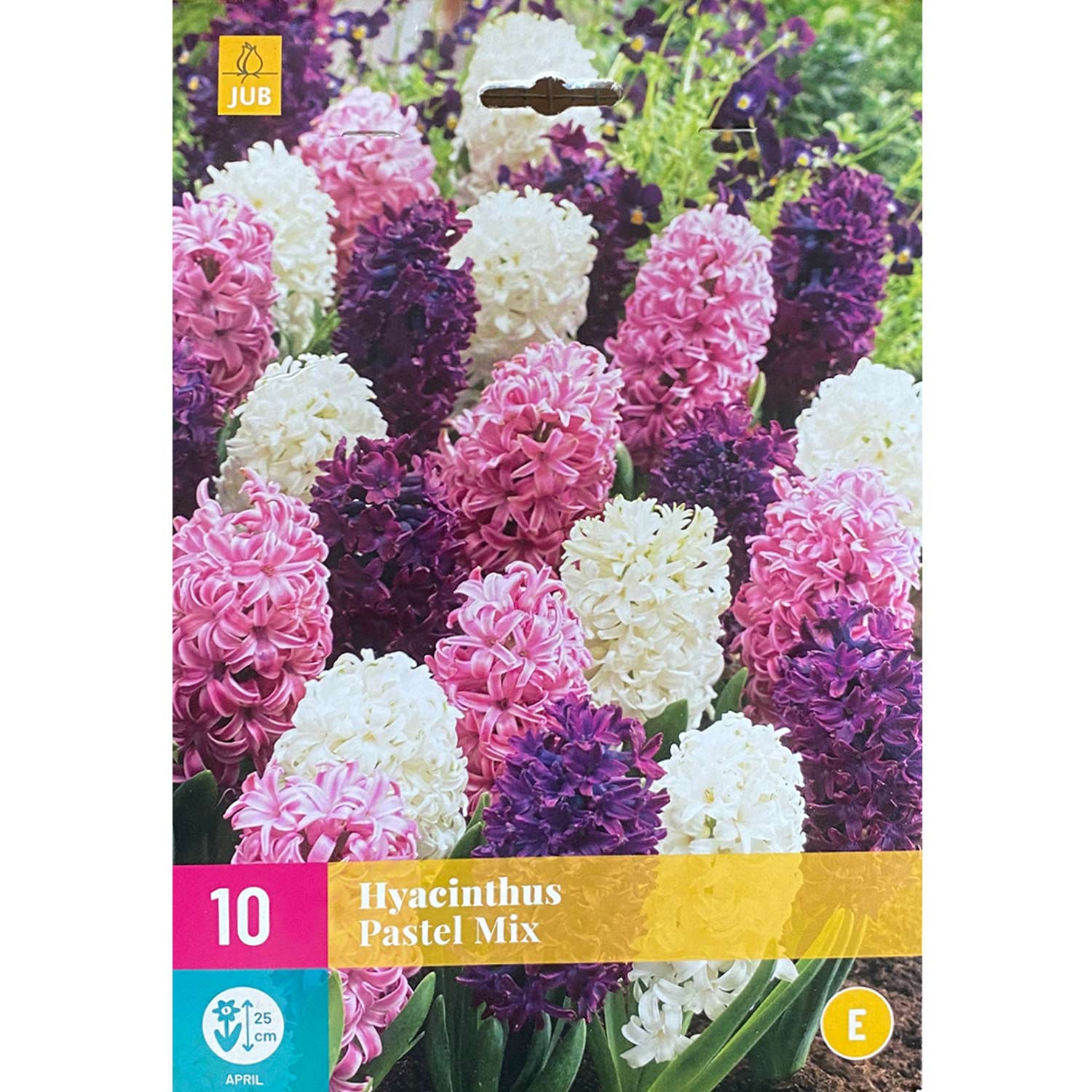 Hyazinthen Mischung 'Pastel Mix' - 10 Stück Liefergröße: Zwiebelgröße 14/15