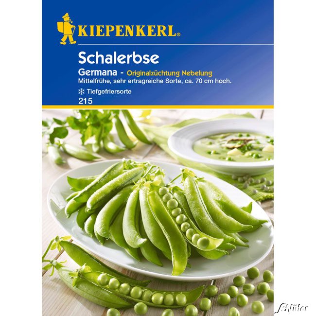 Schalerbse 'Germana' Portionssaatgut, für ca. 10 lfd. Meter Lieferform: Portionssaatgut