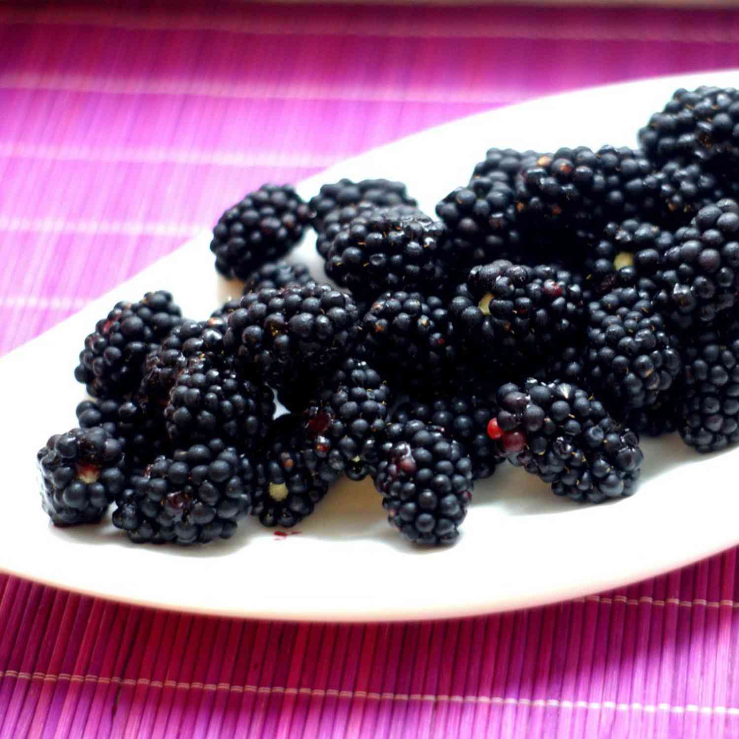 Brombeere 'Navaho®' (dornenlos)