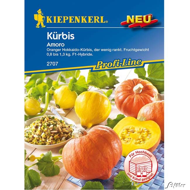 Kürbis 'Amoro' - Hokkaido-Kürbis Lieferform: Portionssaatgut