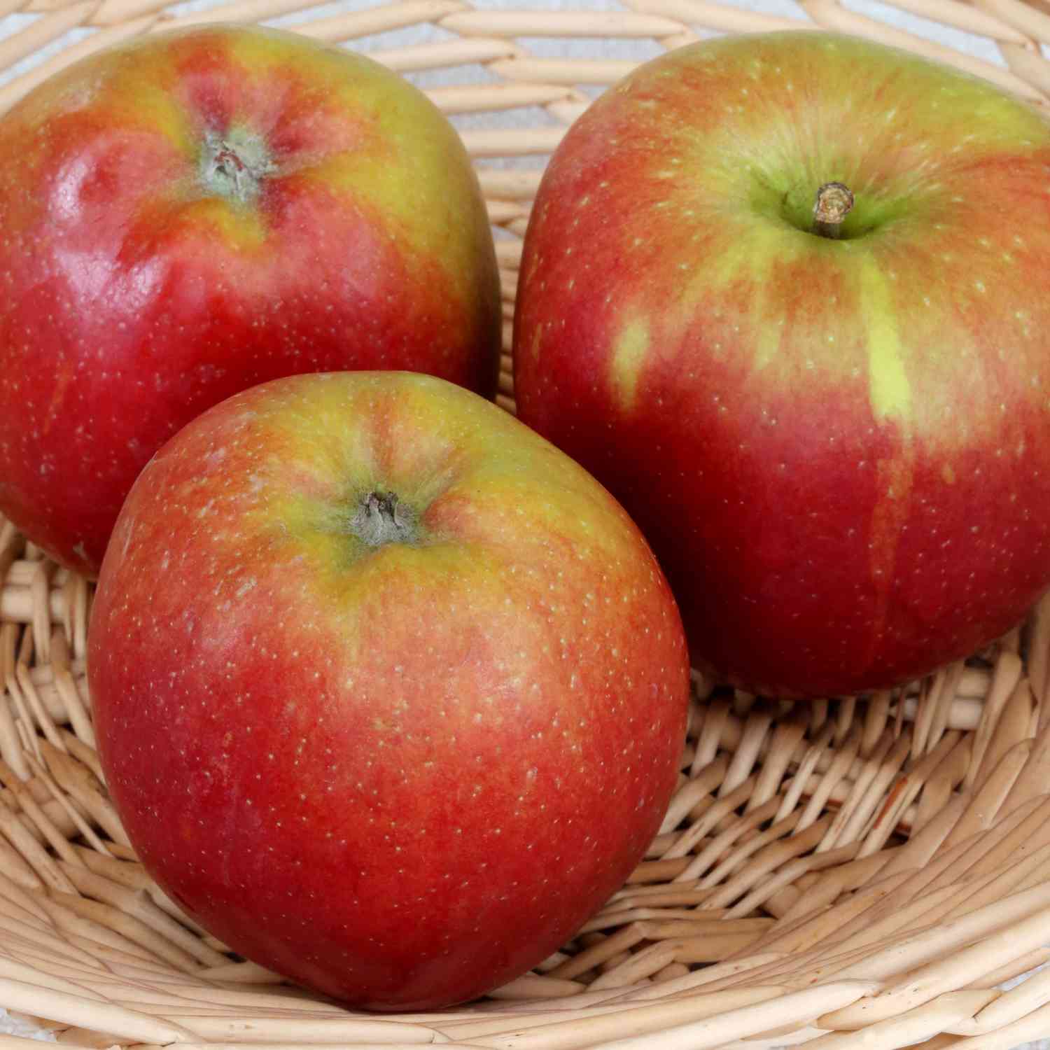 Apfel 'Braeburn' Apfel 'Braeburn'