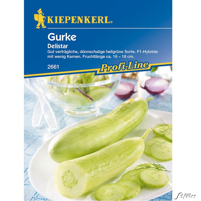 Kategorie <b>Gemüse-Samen </b> - Gurke 'Delistar' Lieferform: Portionssaatgut - Cucumis sativus
