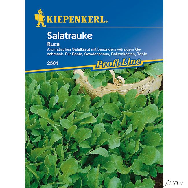 Salatrauke 'Ruca' Saatband 1 Stück Lieferform: Saatband
