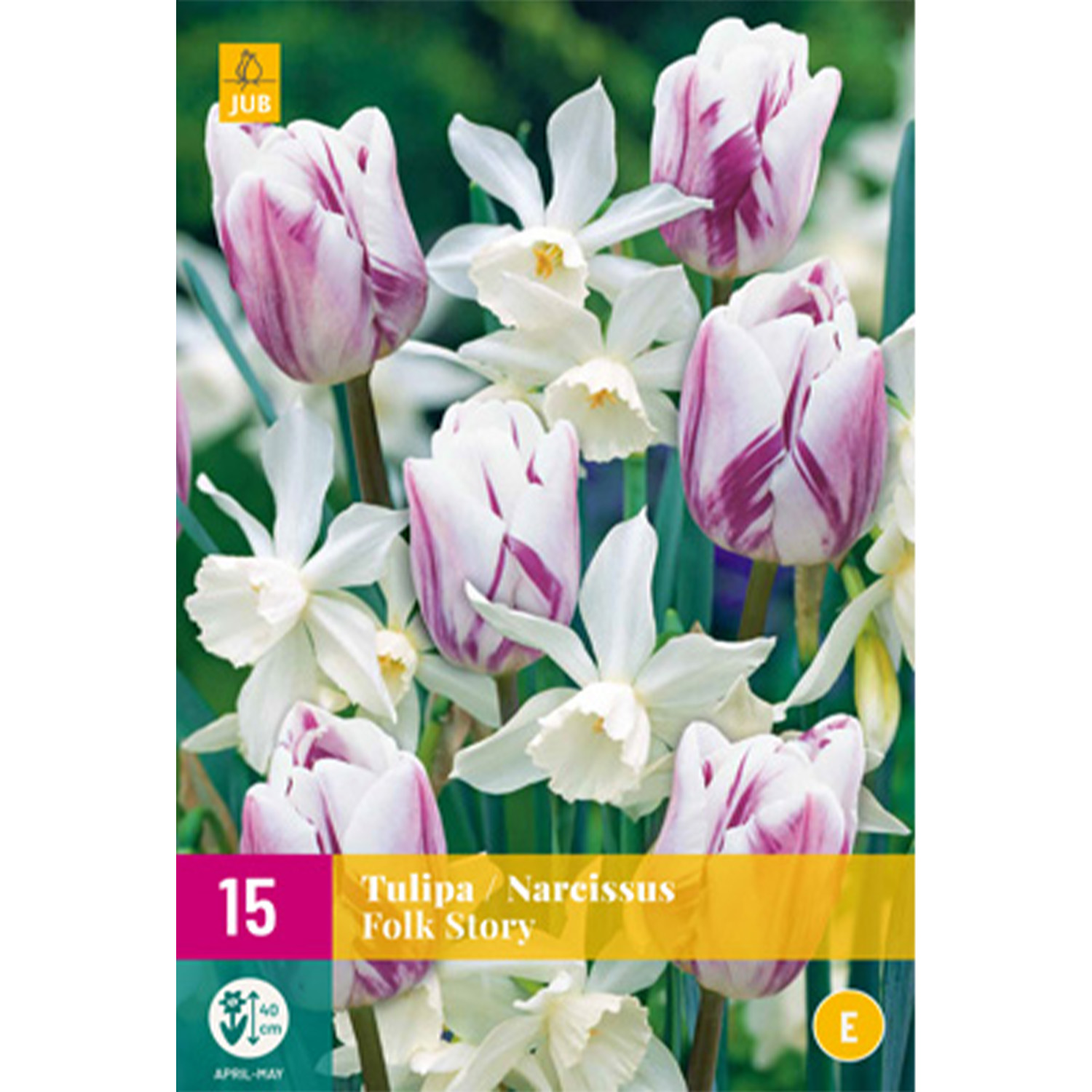 Tulpen & Narzissen Mischung 'Folk Story' - 15 Stück Liefergröße: Zwiebelgröße 11/12 und 12/14