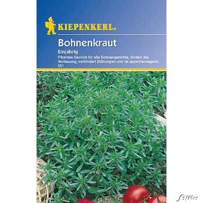 Bohnenkraut, einjährig Lieferform: Portionssaatgut
