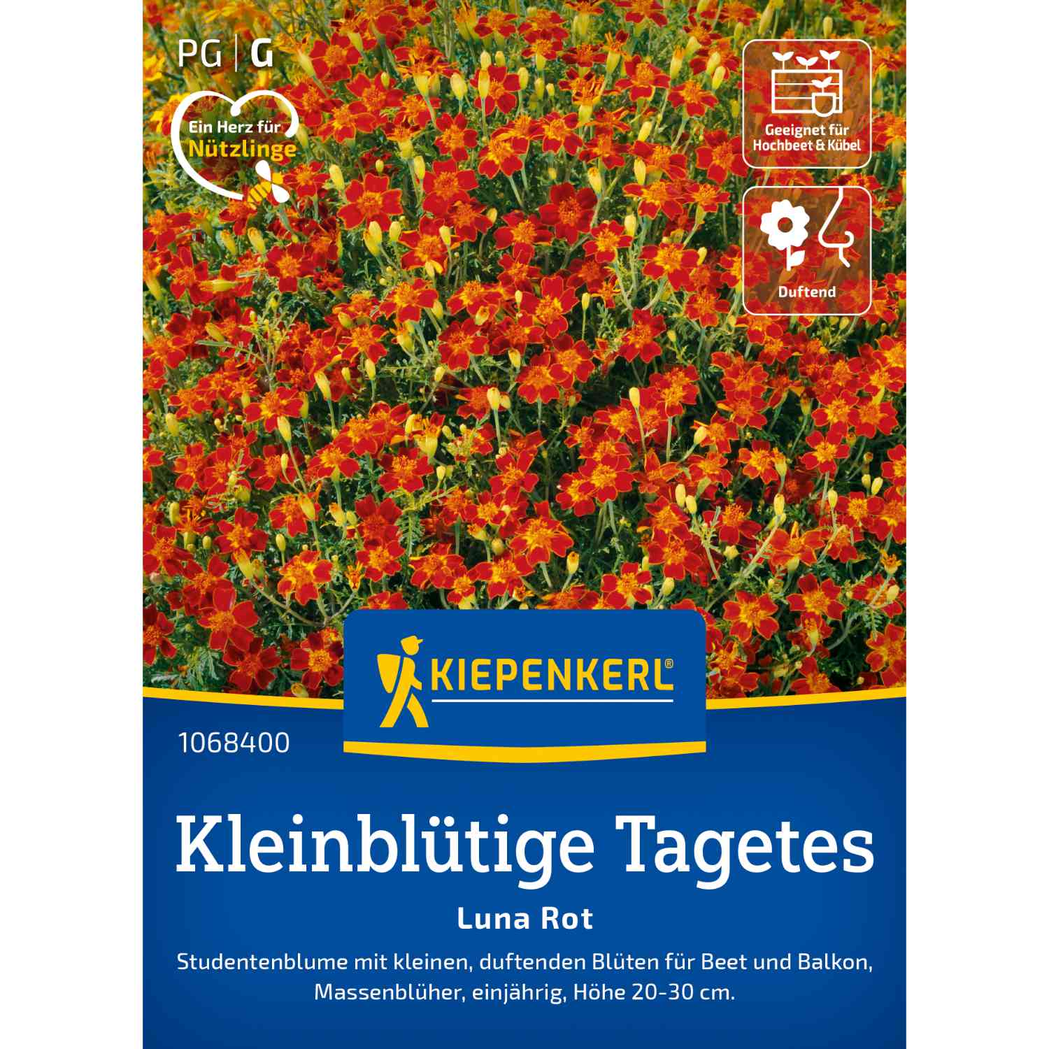 Kategorie <b>Zwiebel- und Knollenstauden </b> - Tagetes 'Luna Rot' Lieferform: Portionssaatgut - Tagetes tenuifolia
