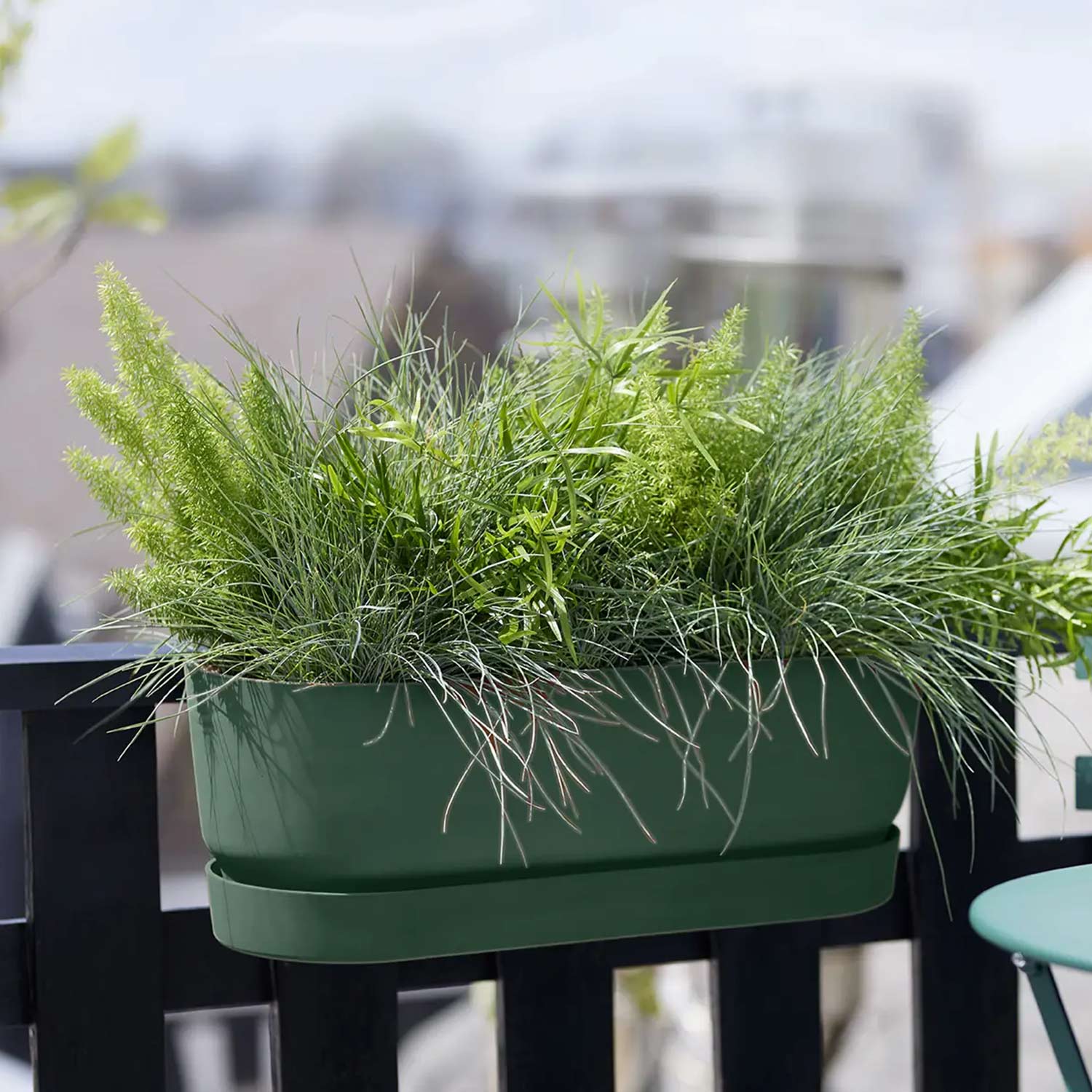 Balkonkasten 'Greenville Easy Balcony' 52 cm, laubgrün